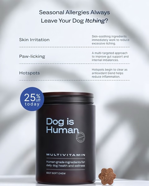 A clean, studio-lit creative that addresses common seasonal allergy symptoms in dogs through a clear, bulleted problem-solution framework.
